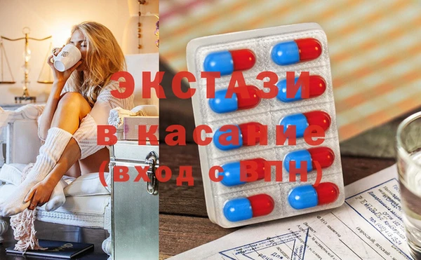 крисы Каменка