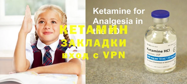 крисы Каменка