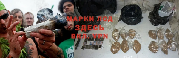 крисы Каменка
