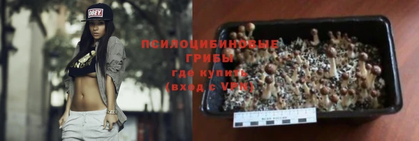прущие грибы Ессентукская