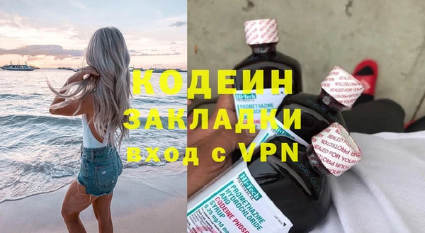 крисы Каменка