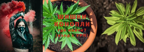 амфетамин Каменногорск
