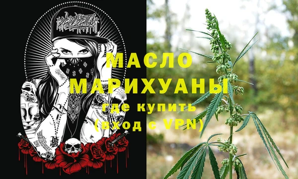 крисы Каменка