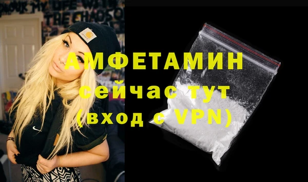 крисы Каменка
